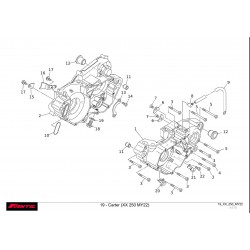 CARTER 250 XX 22-23