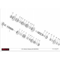 ENGRENAGE BOITE DE VITESSE 250 XX 22-23