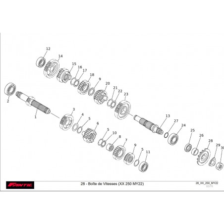 ENGRENAGE BOITE DE VITESSE 250 XX 22-23