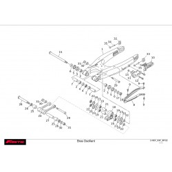 Bras oscillant 250 XXF-XEF 2022