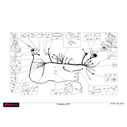 FAISCEAU 250 XEF 2022