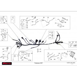 FAISCEAU 250 XXF 2022